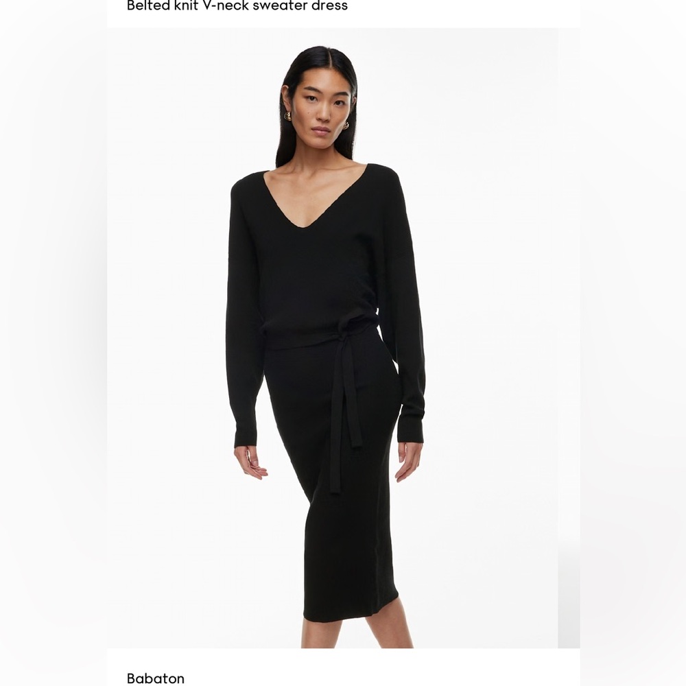 Aritzia Babaton Tracery dress